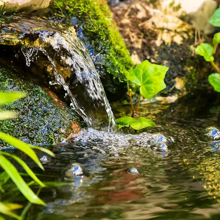 酒店 Mercure Mitte 3*