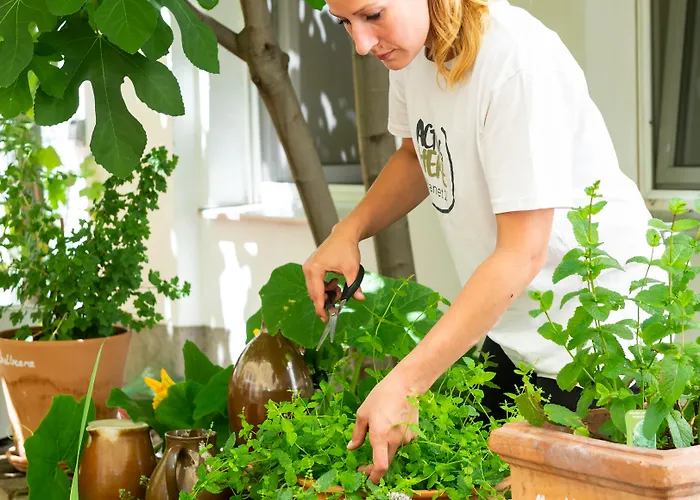 Hotel Mercure Mitte 3*