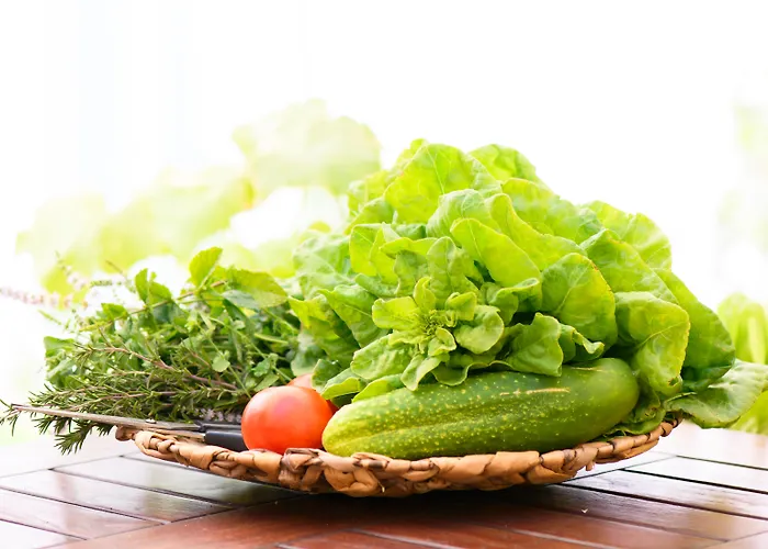 Hotel Mercure Mitte Berlín