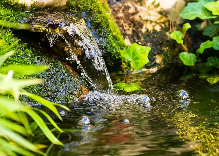 فندق Mercure Mitte 3*